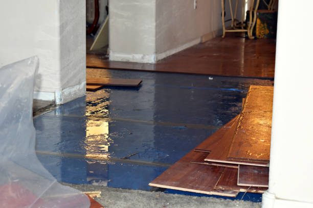 Professional Flood Cleanup technician working in Shade, OH